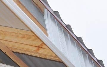 why Mount Hamilton fascia repairs are essential