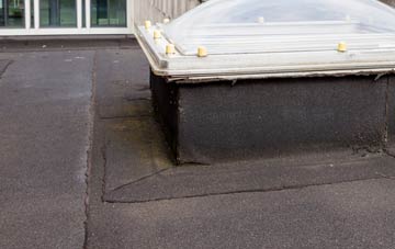 disadvantages of Mount Hamilton flat roofs