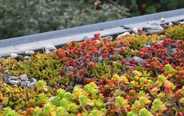the cost of Mount Hamilton green roof installation