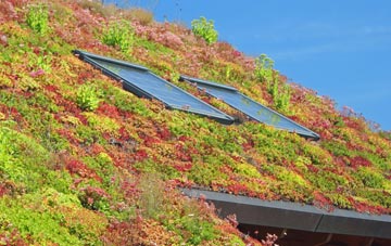 Mount Hamilton living roof systems