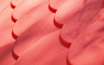 Mount Hamilton plastic roof costs