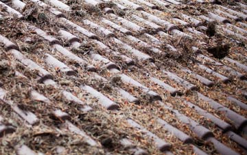 Mount Hamilton roof cleaning companies