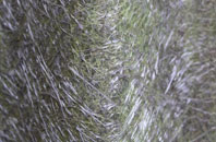 Mount Hamilton fibreglass roof work